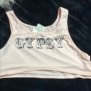 NWT Gypsy Pink Crop Top Large